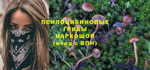 героин Верея