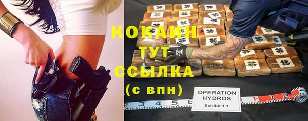 ПСИЛОЦИБИНОВЫЕ ГРИБЫ Верхний Тагил